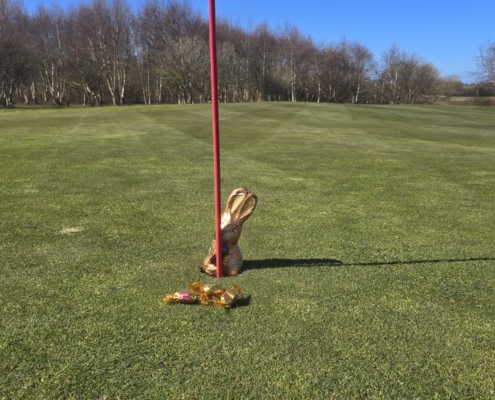 WhatsApp Image 2026-04-05 at 12.00.34